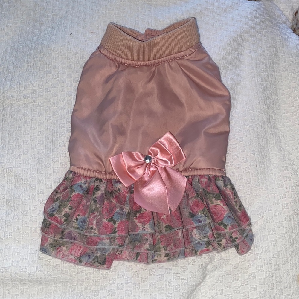 Beautiful dog coat